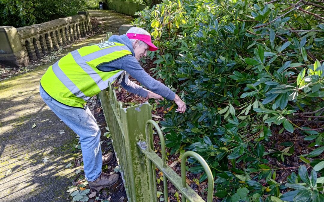 HAPPY WOODLANDERS VOLUNTEERING AGAIN